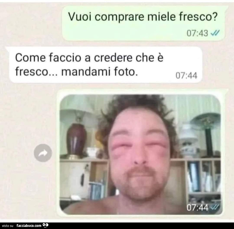 Vaccata
