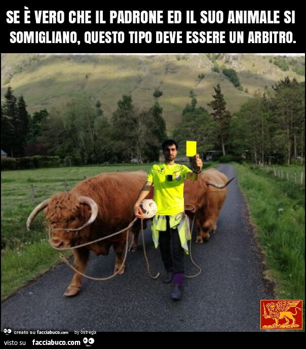Se è vero che il padrone ed il suo animale si somigliano, questo tipo deve essere un arbitro