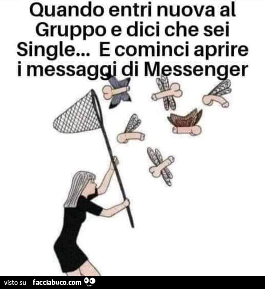 Quando entri nuova al gruppo e dici che sei single… e cominci aprire i messagi di di messenger