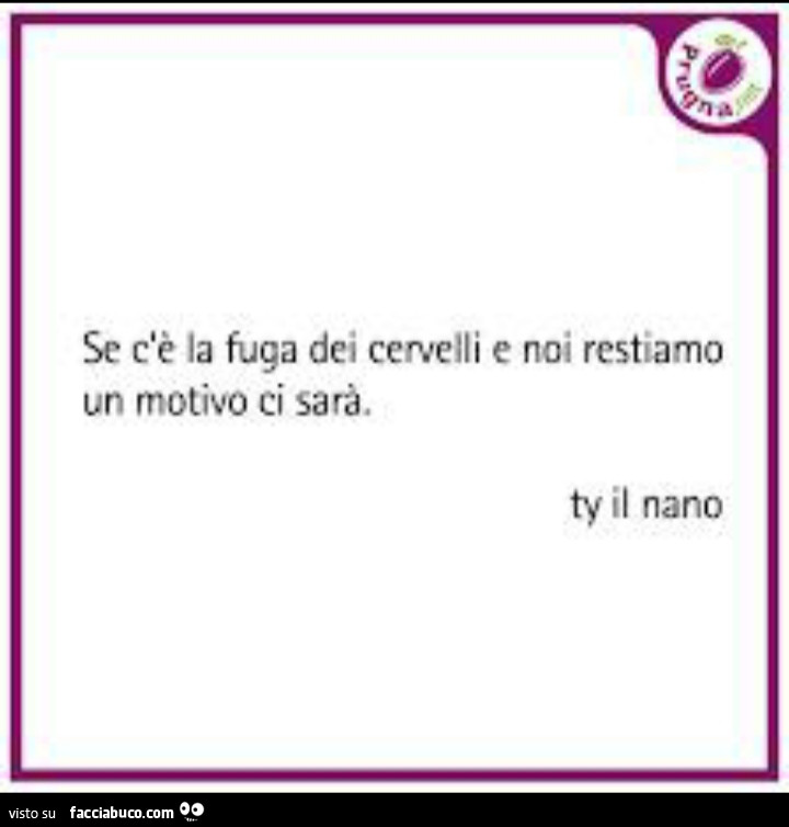 Se c'è la fuga dei cervelli e noi restiamo un motivo ci sarà