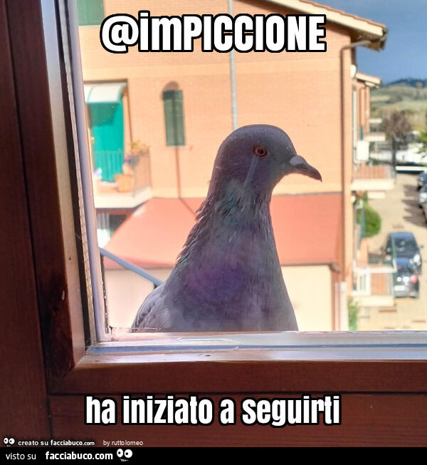 Impiccione ha iniziato a seguirti
