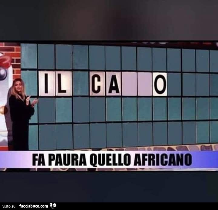 Vaccata