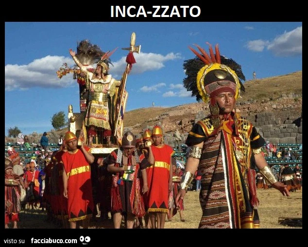 Vaccata