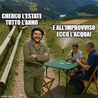 Vaccata