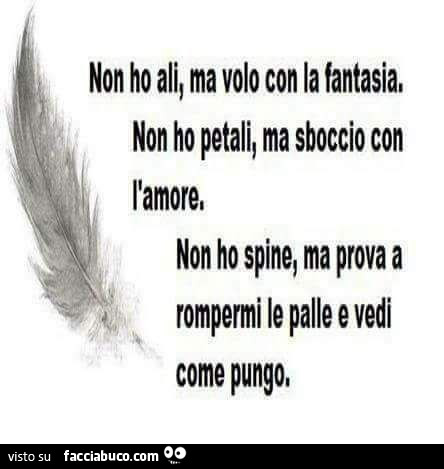 Non ho ali, ma volo con la fantasia, non ho petali, ma sboccio con l'amore, non ho spine, ma prova a rompermi le palle e vedi come pungo