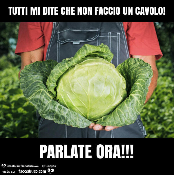 Tutti mi dite che non faccio un cavolo! Parlate ora