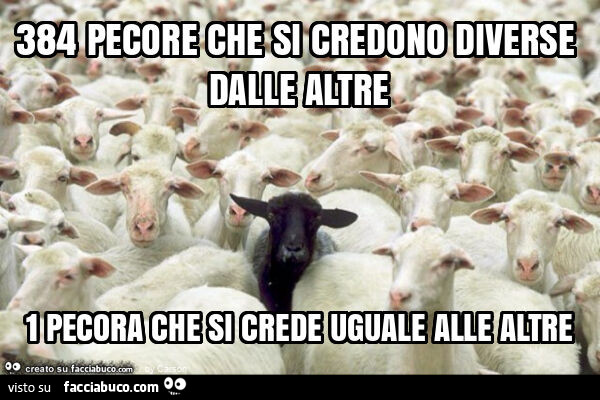 384 pecore che si credono diverse dalle altre 1 pecora che si crede uguale alle altre