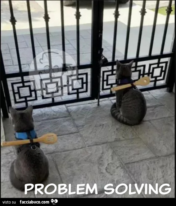 Problem solving