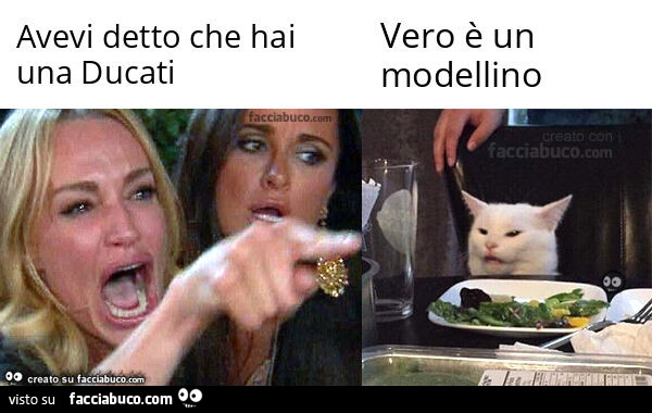Avevi detto che hai una Ducati Vero è un modellino