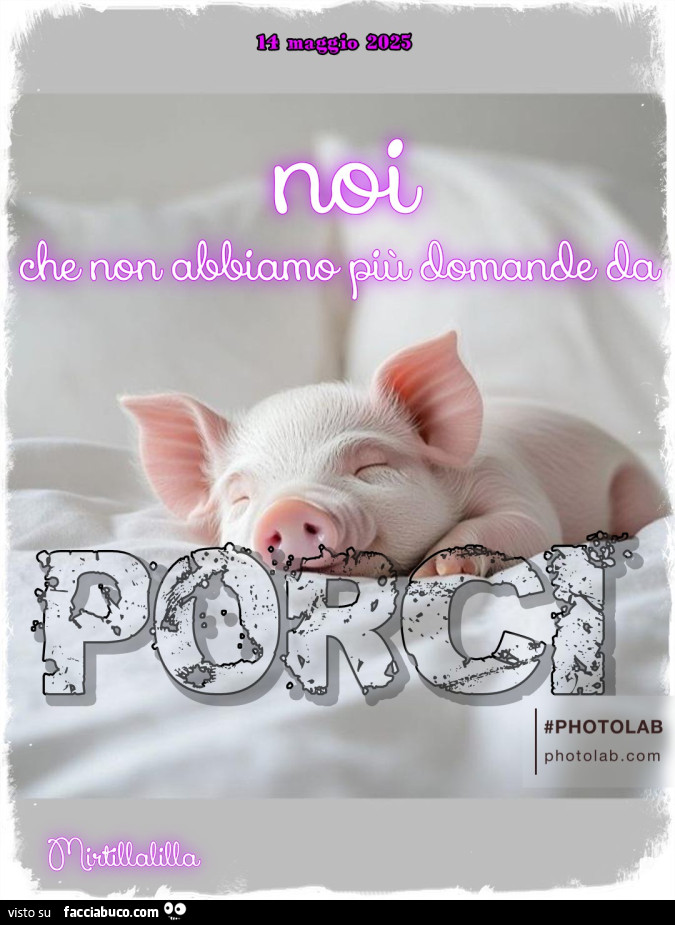 Le domande da porci