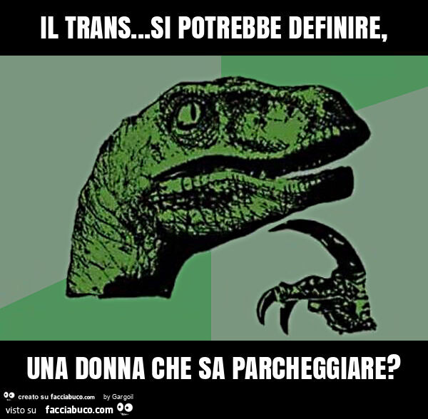 Il trans… si potrebbe definire, una donna che sa parcheggiare?