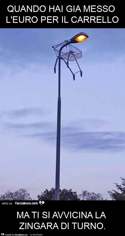 Quando hai gia messo l'euro per il carrello ma ti si avvicina la zingara di turno