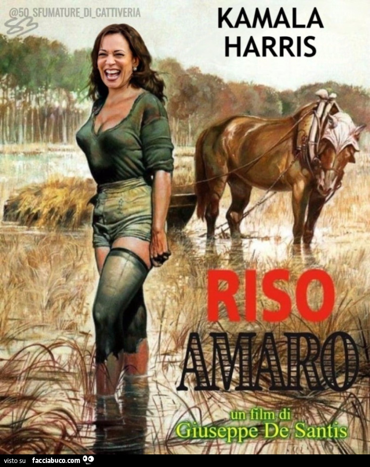 Riso amaro