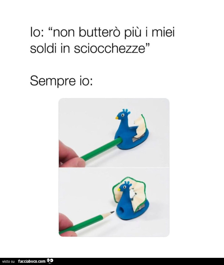 Io: non butterò più i miei soldi in sciocchezze. Sempre io