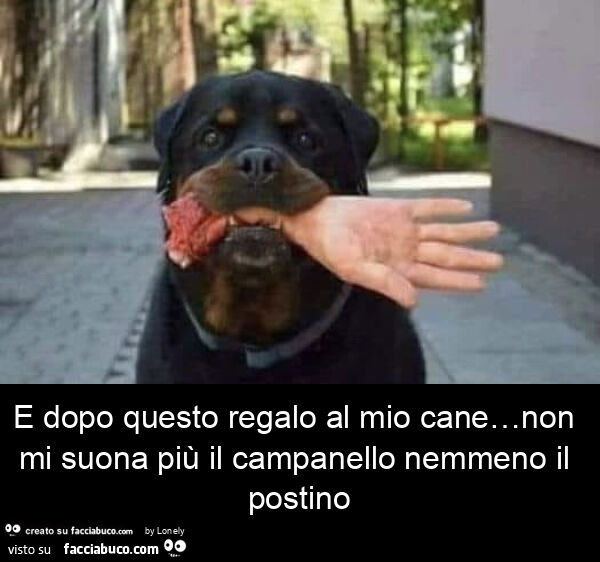 E dopo questo regalo al mio cane… non mi suona più il campanello nemmeno il postino