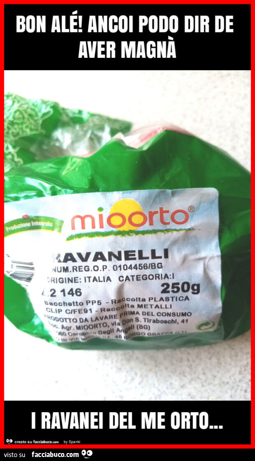 Bon alé! Ancoi podo dir de aver magnà i ravanei del me orto