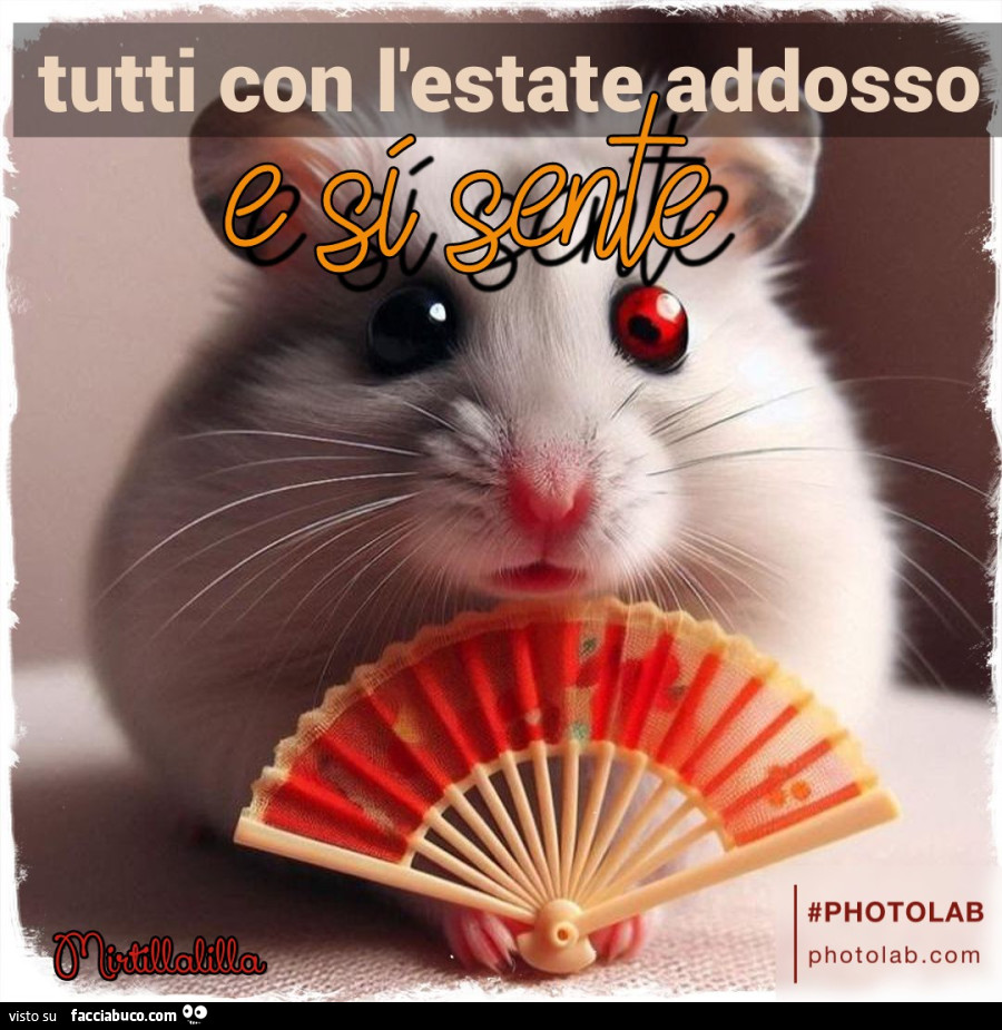 L'estate addosso