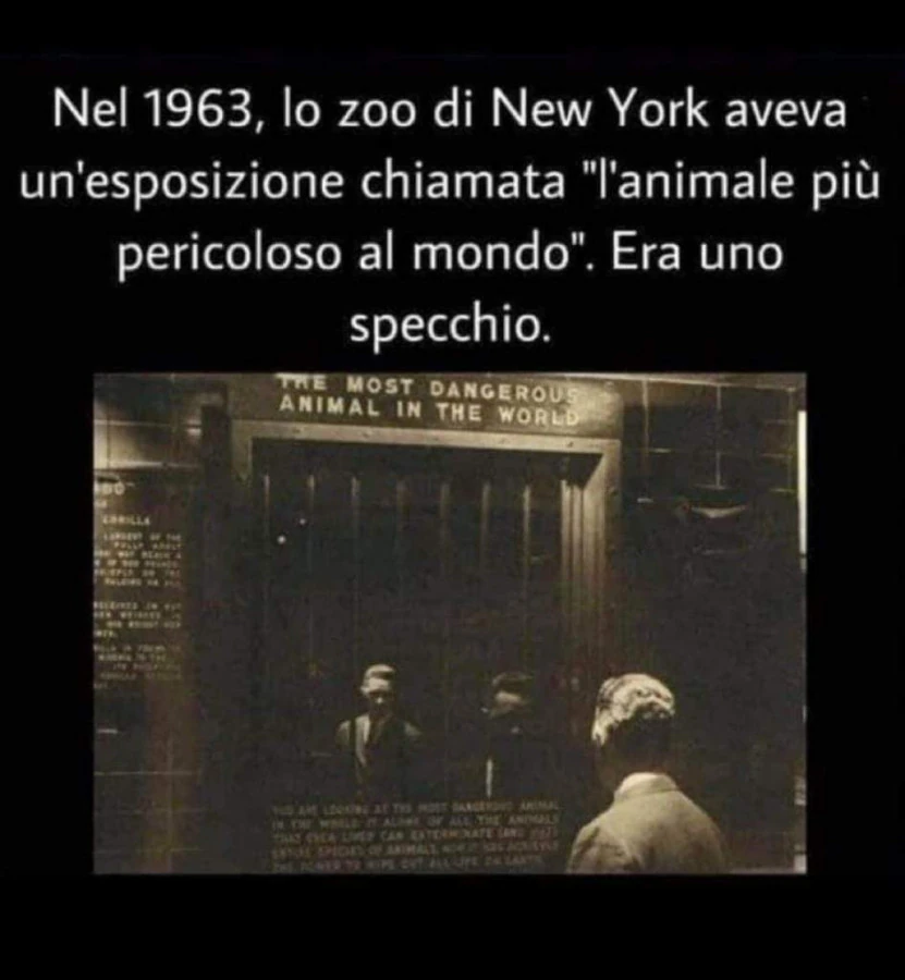 L'animale più feroce del mondo