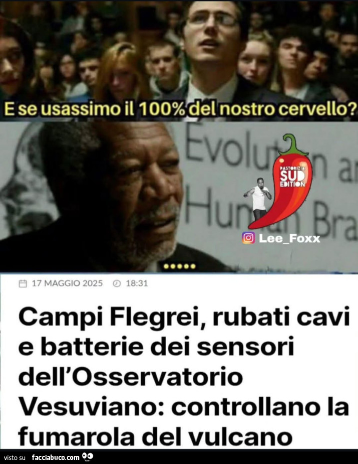 Vaccata