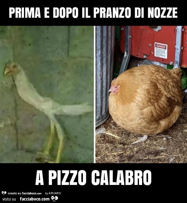 Prima e dopo il pranzo di nozze a pizzo calabro