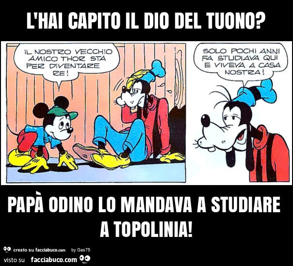 L'hai capito il dio del tuono? Papà odino lo mandava a studiare a topolinia