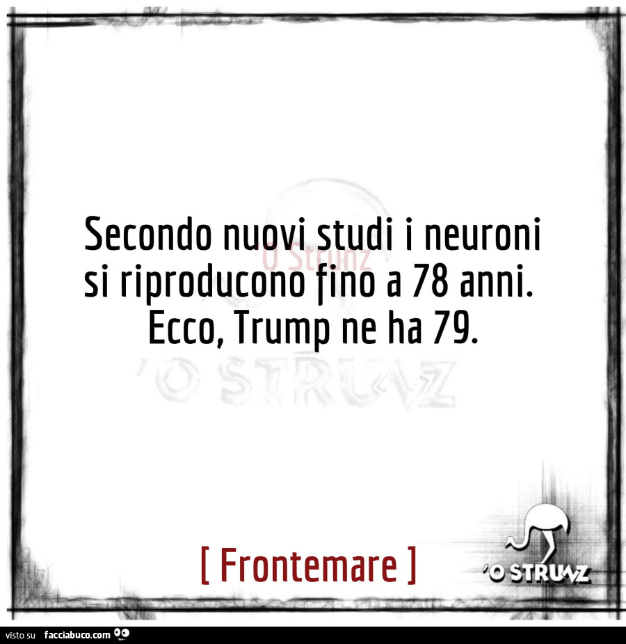 Secondo nuovi studi i neuroni si riproducono fino a 78 anni. Ecco, trump ne ha 79