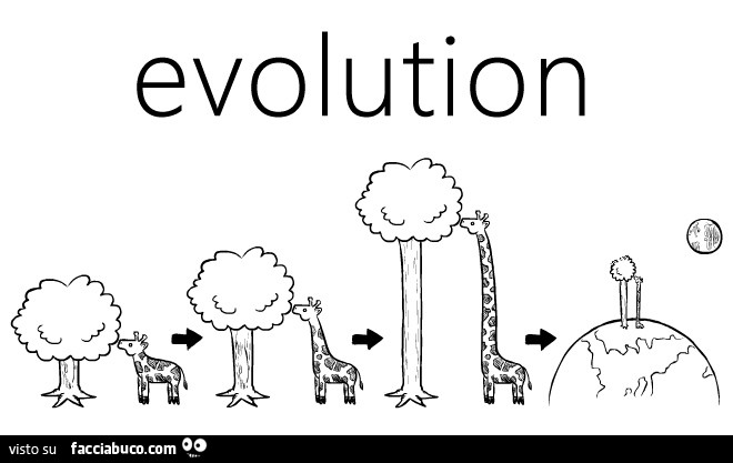 Evolution delle giraffe