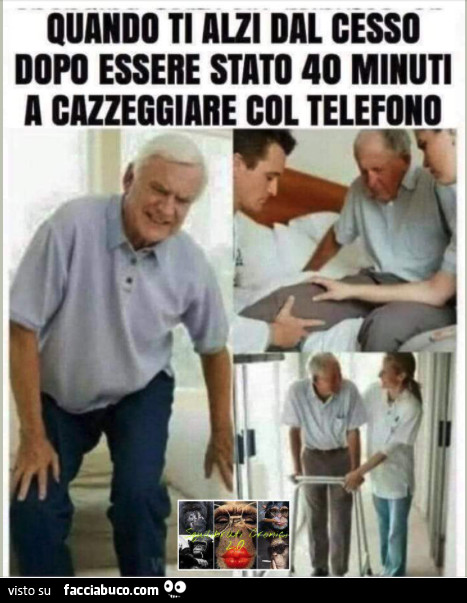 Vaccata