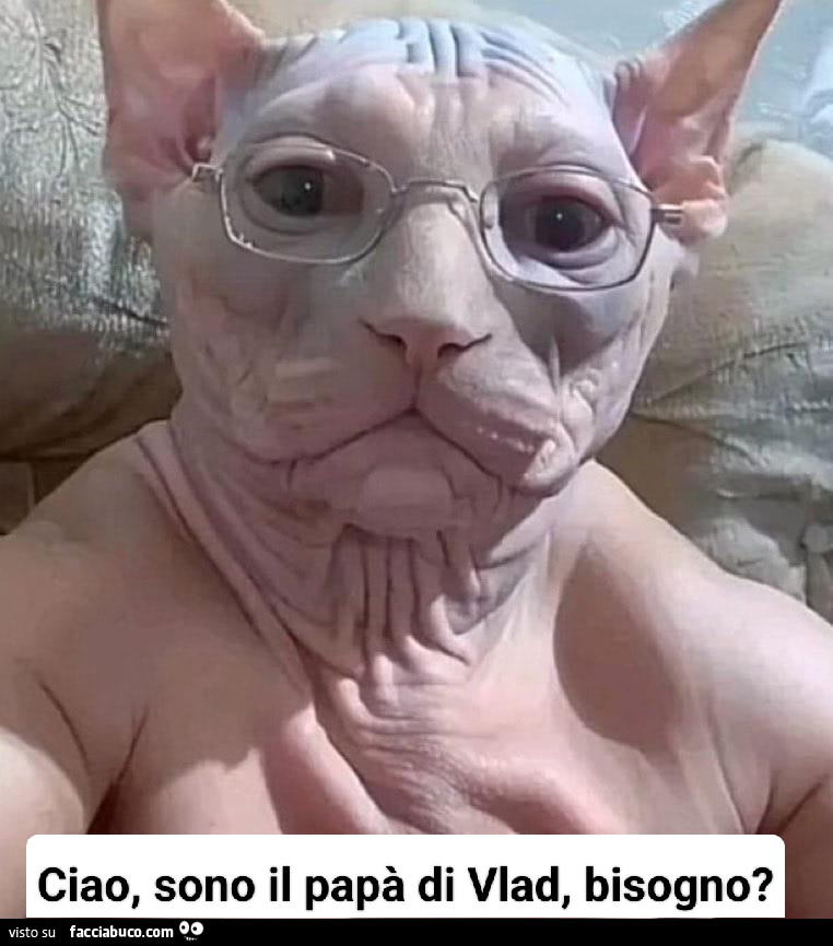 Vaccata
