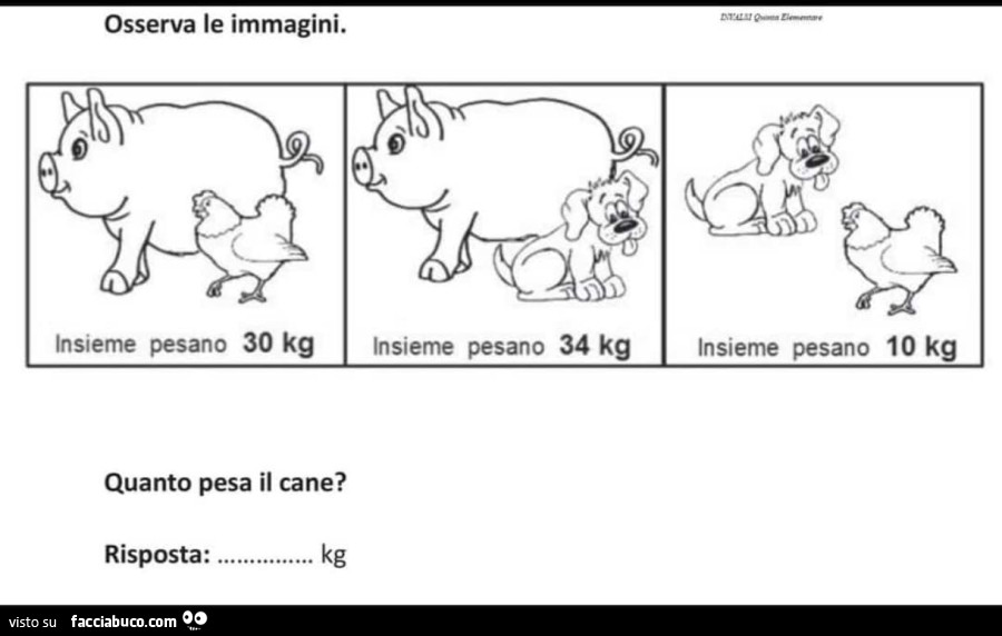 Osserva le immagini. Quanto pesa il cane?
