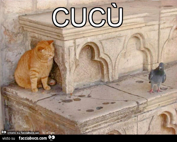 Cucù