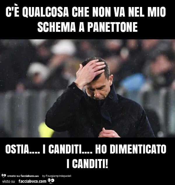 C'è qualcosa che non va nel mio schema a panettone ostia… i canditi… ho dimenticato i canditi