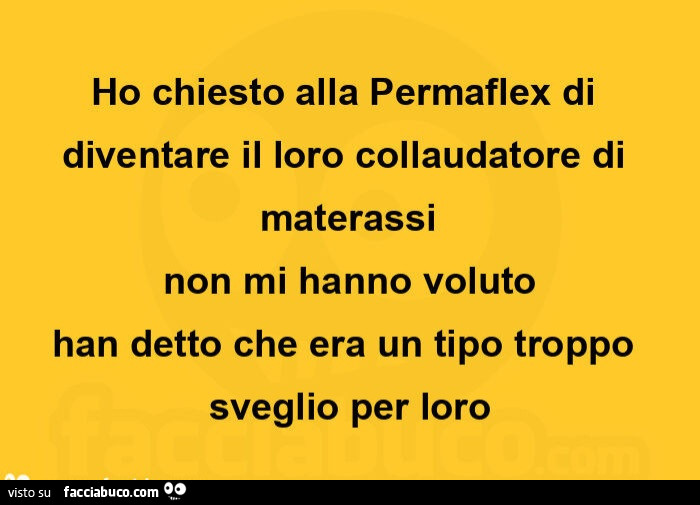 Ho chiesto alla permaflex di diventare il loro collaudatore di materassi non mi hanno voluto han detto che era un tipo troppo sveglio per loro