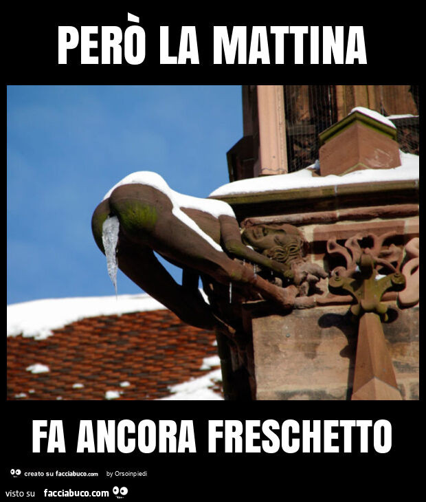 Però la mattina fa ancora freschetto