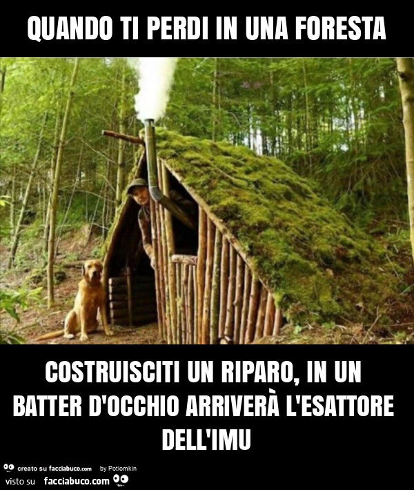 Quando ti perdi in una foresta costruisciti un riparo, in un batter d'occhio arriverà l'esattore dell'imu