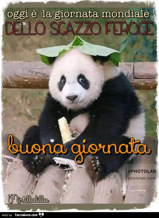 Lo scazzo feroce
