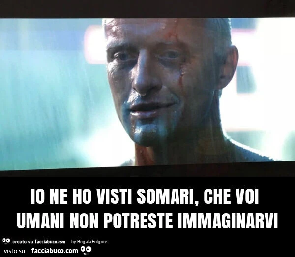 Io ne ho visti somari, che voi umani non potreste immaginarvi