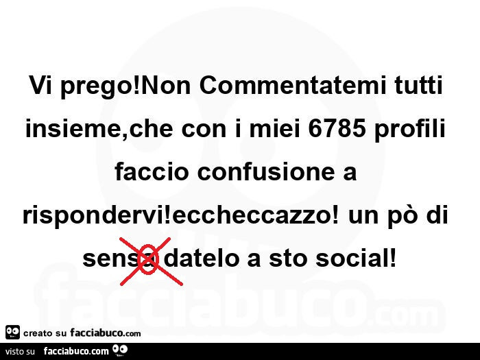 Vi prego! Non commentatemi tutti insieme, che con i miei 6785 profili faccio confusione a rispondervi! Eccheccazzo! Un po' di sensa datelo a sto social