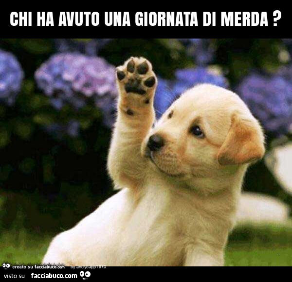 Chi ha avuto una giornata di merda?