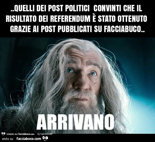Quelli dei post politici convinti che il risultato dei referendum รจ stato ottenuto grazie ai post pubblicati su facciabuco