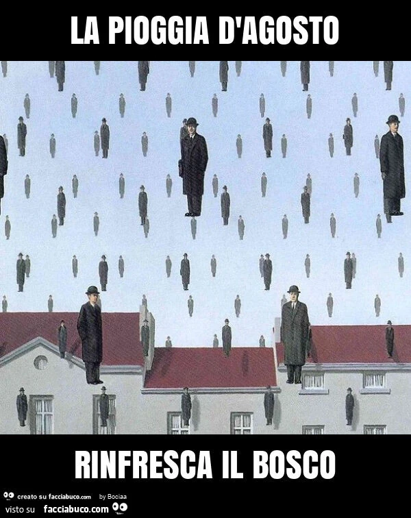 La pioggia d'agosto rinfresca il bosco