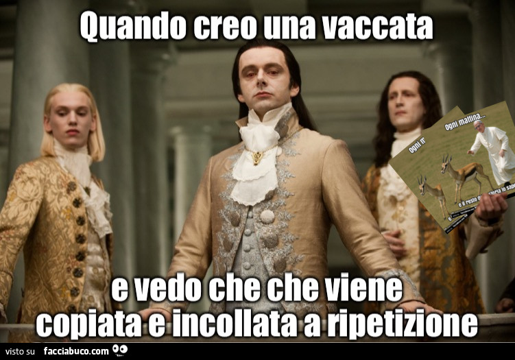 Vaccata