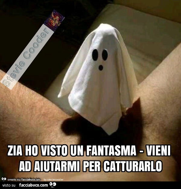 Zia ho visto un fantasma - vieni ad aiutarmi per catturarlo