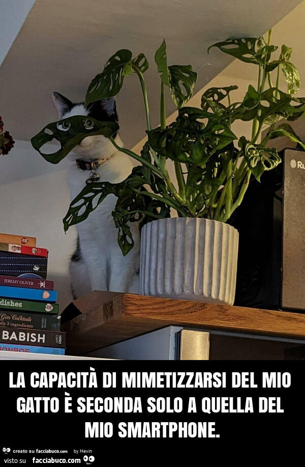 La capacità di mimetizzarsi del mio gatto è seconda solo a quella del mio smartphone