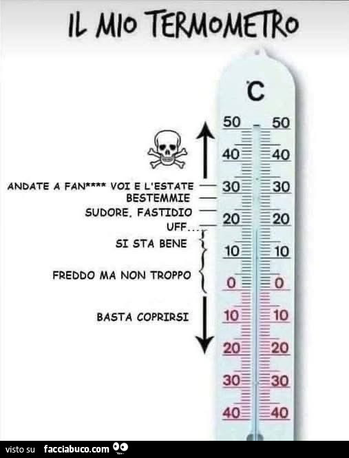 Il mio termometro. Andate a fanculo voi e l'estate