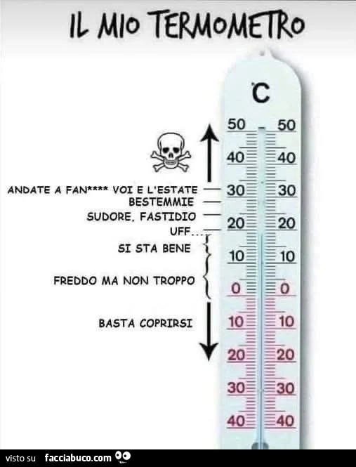 Il mio termometro. Andate a fanculo voi e l'estate