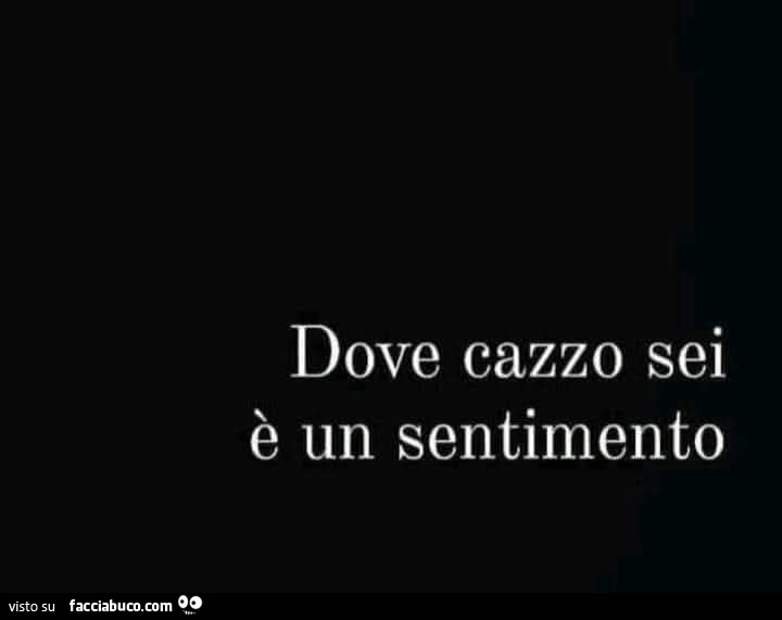 Dove cazzo sei è un sentimento