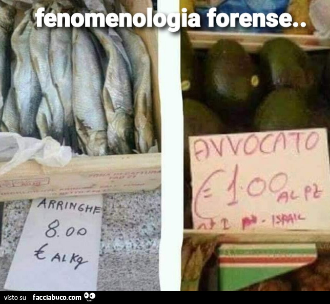 Fenomenologia