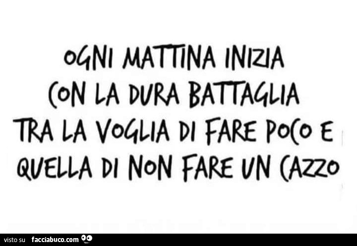 Ogni mattina inizia con la battaglia tra la voglia di fare poco e quella di non fare un cazzo