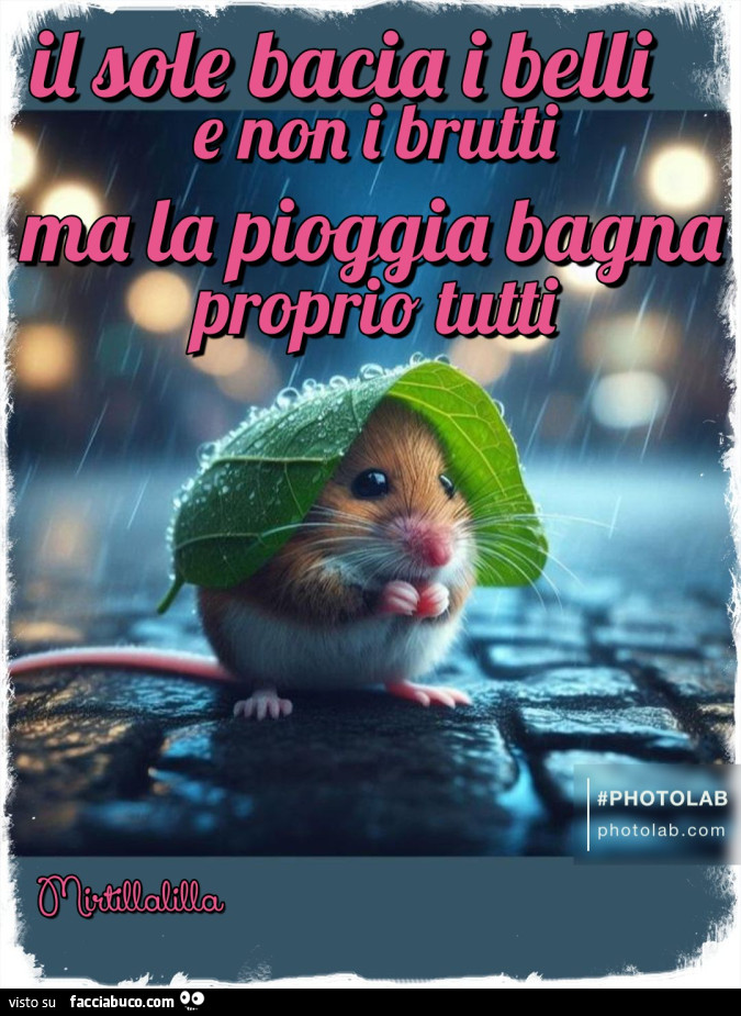 La pioggia bagna tutti